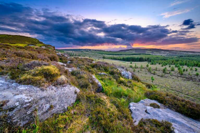 Northumberland National Park Work Experience Placements